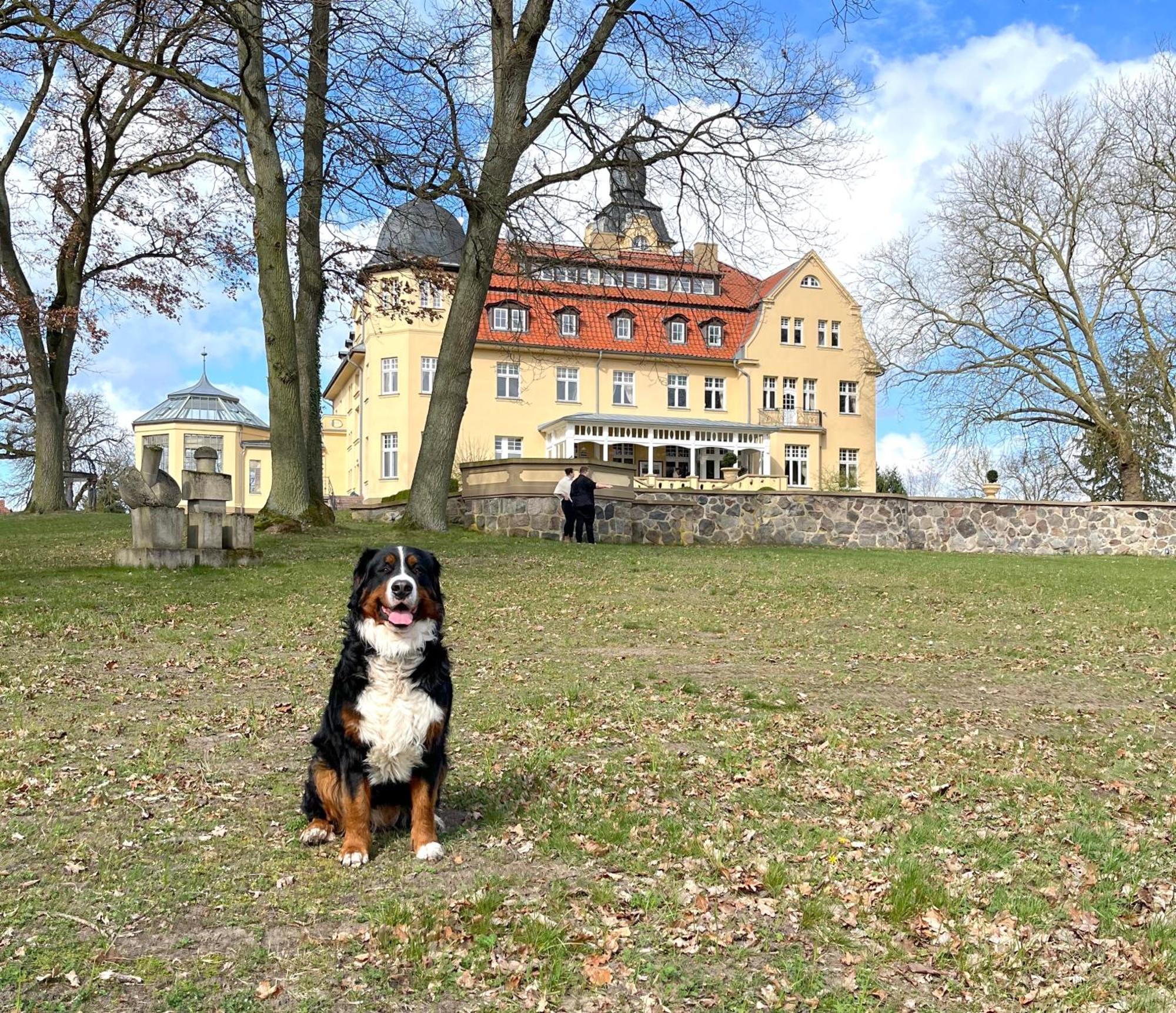 Bernsteinschloss Wendorf  Buitenkant foto